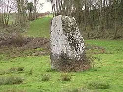 Menhir La Hauberie
