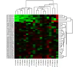 Clusterheatmap in der Genexpressionsanalyse mit Clusterbäumen an den Achsen
