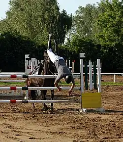 Verweigerungen können einen Sturz des Reiters zur Folge haben.