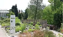 Verschiedene Heil- und Nutzpflanzen wachsen im neuen Gartenteil des Botanischen Gartens. Eine große, weiße Infotafel ist links vertikal angebracht. Links im Hintergrund steht ein Gewächshaus.