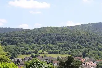 Der Heilberg von Kälberau gesehen