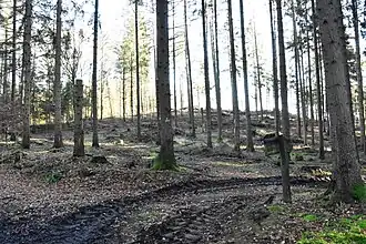 Blick auf die Kuppe des Heiligenberges