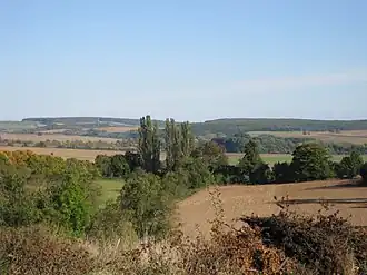 Die Heilinger Höhen bei Marolterode von Nordwesten gesehen
