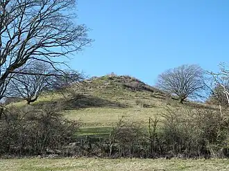 Blick von Süden auf die Vorburg