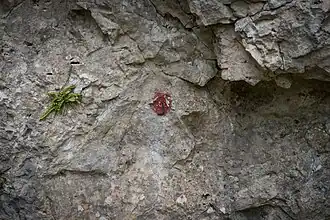 Der in den 1970er Jahren zum Einmessen der Funde gesetzte Referenzpunkt