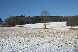 Der Bemberg im Winter 2013