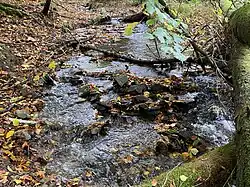 Bachbett Hemker Bach