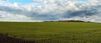 Der Henneberg von Osten aus gesehen