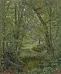 Ein Teich im Wald
