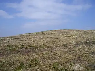 Die Ostflanke des Henshaw Hills