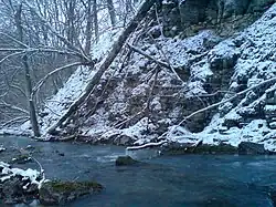 Kleines Kleb am Hergstbach