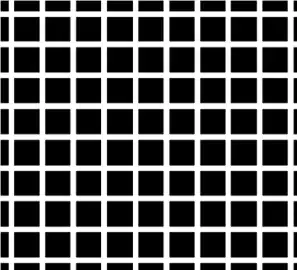 Dunkel erscheinende Flecken im Hermann-Gitter.