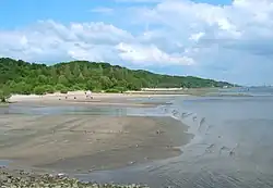 Elbstrand am Falkensteiner Ufer