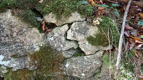 Restmauerwerk der ehemaligen Burg Hielock