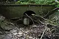 Tunnel unter der B 64 bei der Uhlenmühle. Ca. 50 m lang bei nur etwa 1,5 m Durchmesser. Im Winter staut es sich hier. Bei Hochwasser hat der Bach die Möglichkeit den Straßentunnel Am Bischofswasser mitzunutzen, der links daneben verläuft. Blick stromabwärts. (23. Juli 2011)