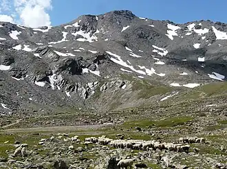 Die Hintere Schöntaufspitze vom hinteren Madritschtal, das Madritschjoch ist links zu sehen.