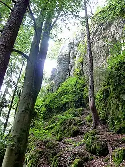 Impression aus dem Naturpark