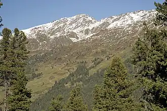 Hirzer von Südwesten (Wattental)