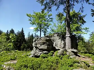 Der Felsgipfel des Hochbergs (Mai 2022)