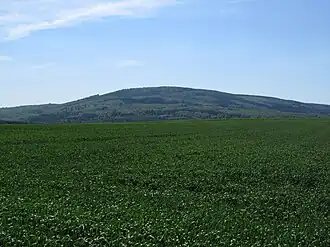 Soonwald mit Hochsteinchen im Mai 2012, kurz vor Baubeginn der Anlagen