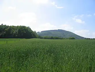 Blick von Houverath südwärts zum Hochthürmerberg