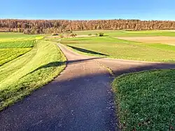 Hochwasser­rückhalte­becken Möhntal (2022), Damm­krone in Rich­tung Norden