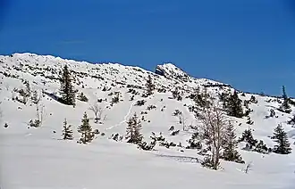 Das kleine Gipfeldreieck der Hohen Kisten von Süden.