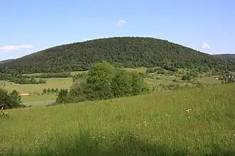 Hoher Berg, gesehen vom Grohberg südlich von Breitenbrunn