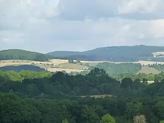 Blick von Südosten in einen Teil des Dransfelder Stadtwaldes mit dem auf dem Hohen Hagen stehenden Gaußturm