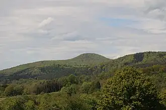 Hoher Kopf in der Bildmitte