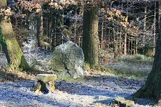 Der Gipfel des Hohen Schadens