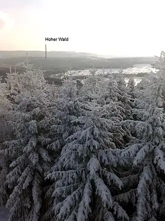 Blick von der Haube zum Hohen Wald. Im Hintergrund ist der Große Farmdenkopf zu sehen.