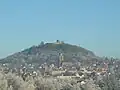 Blick auf dem Homberg mit dem Burgberg im Hintergrund (2007)