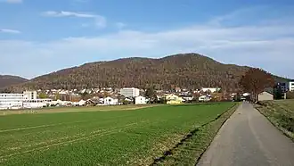 Blick aus westlicher Richtung auf den Homberg