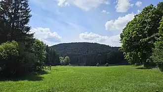 Der Homburg aus dem Schwarzenautal fotografiert