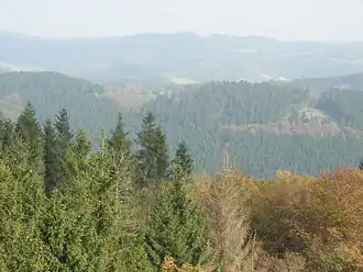 Blick vom Turm des Unnenbergs zur Homert