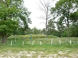 Zwarte Berg von Hoogeloon