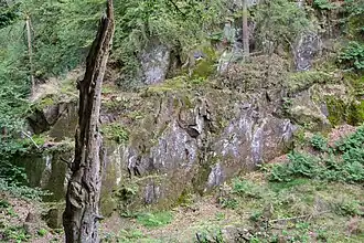 ehemaliger Steinbruch am Bärenstein