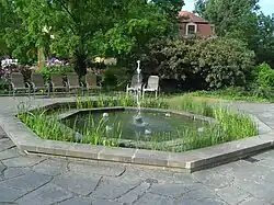 Wasserpflanzenbecken