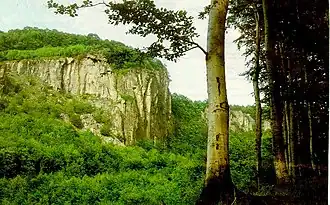 Berg Vtáčnik (Hrádok)