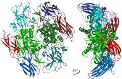 Fibrinstabilisierender Faktor