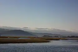 Das Ramsar-Gebiet Santuario de la naturaleza Carlos Anwandter in Valdivia, Chile