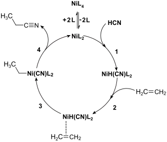 Allgemeiner Katalysecyclus der Hydrocyanierung