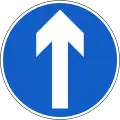 RUS-004 vorgeschriebene Fahrtrichtung – geradeaus