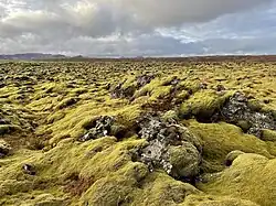 Straße 42 durchquert ein Lavafeld südlich von Hafnarfjörður