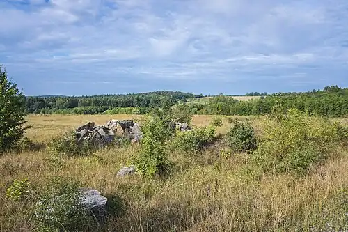 Am Rand der Steppe des Brönnhofs im August 2019