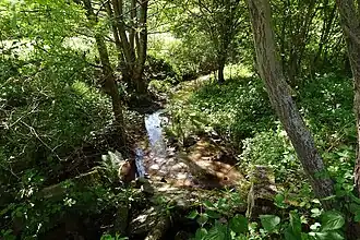 … im Mörsbacher Grund (2021)