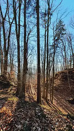 Halsgraben mit Übergang in den Burghügel