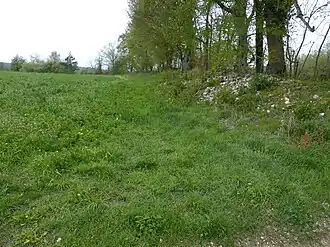 Östliche Innenseite des Walls