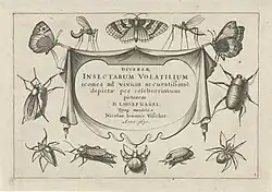 Frontispiz = Tafel 1